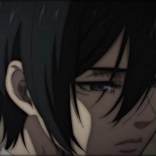 Эмодзи Ackerman Mikasa