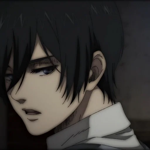 Эмодзи Ackerman Mikasa