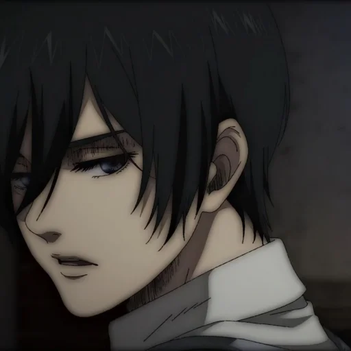 Эмодзи Ackerman Mikasa