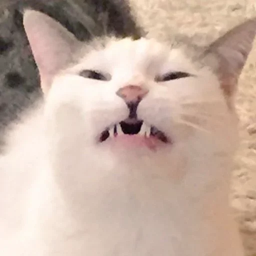 Эмодзи Hellcats