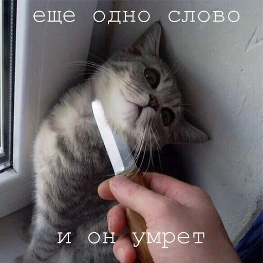 Эмодзи Agressive and nice kittens