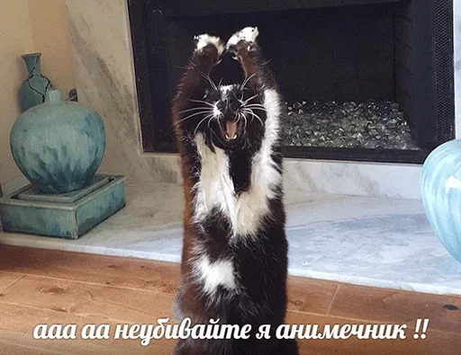 Эмодзи Антианиме