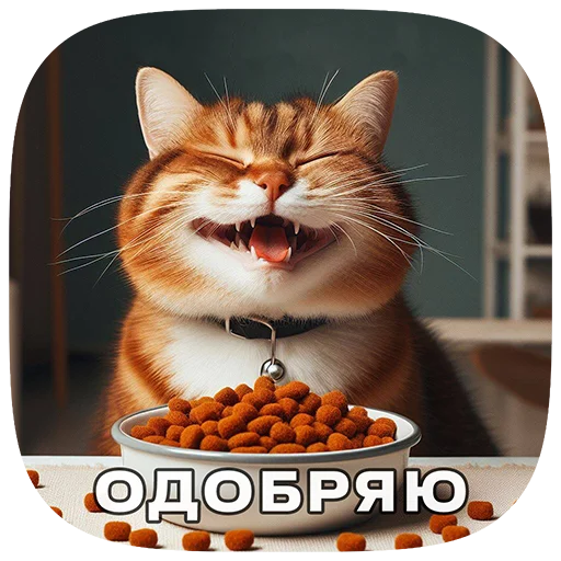 Эмодзи Cats | Котики