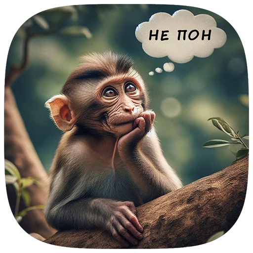 Эмодзи Cats | Котики