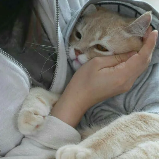 Эмодзи Алиса
