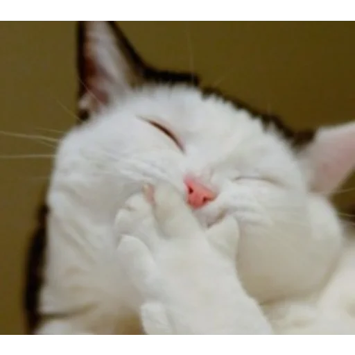 Эмодзи my_SticPack