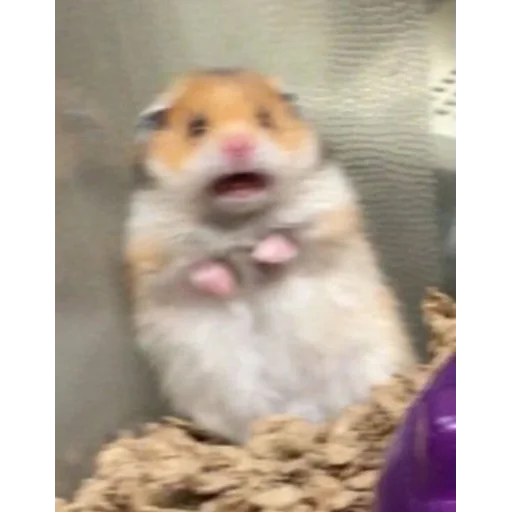 Эмодзи my_SticPack