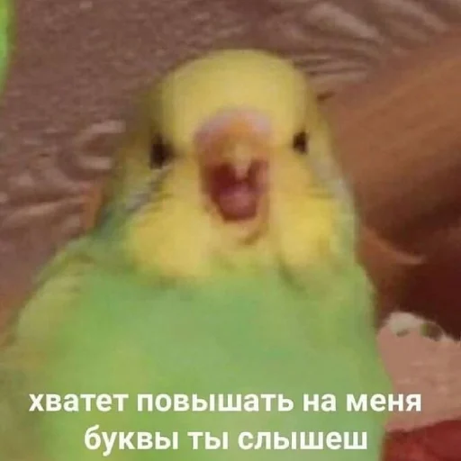 Эмодзи my_SticPack