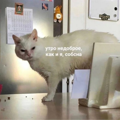 Эмодзи Котики