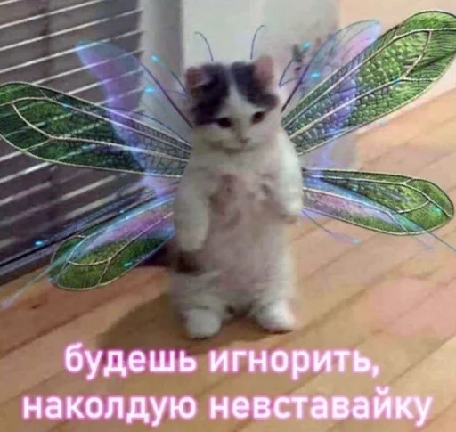 Эмодзи Котики