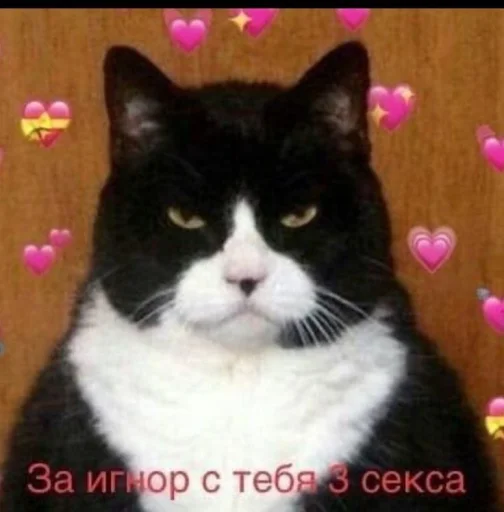 Эмодзи Котики