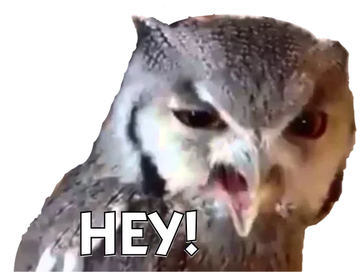 Эмодзи Owls