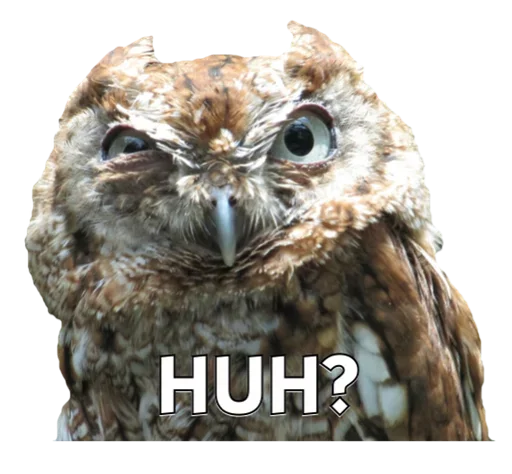 Эмодзи Owls