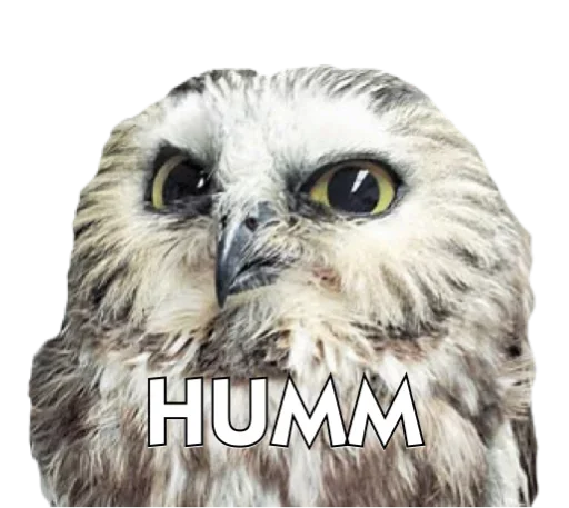 Эмодзи Owls