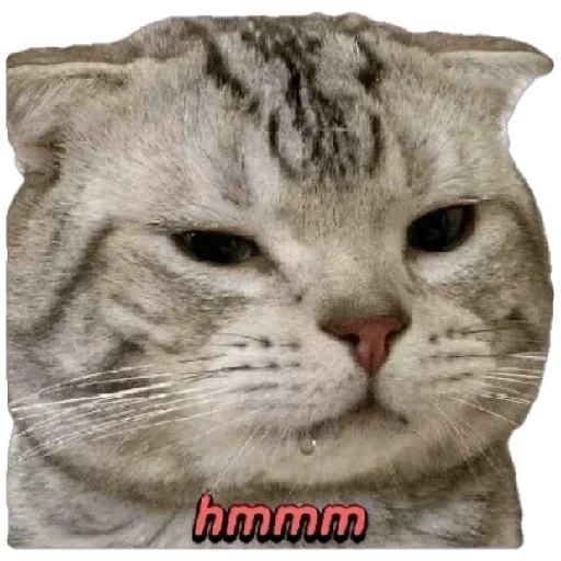 Эмодзи Anak_kucing