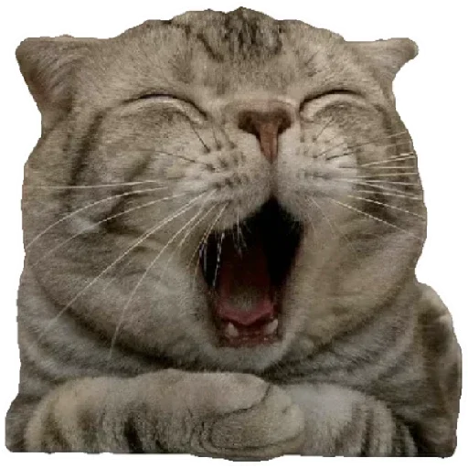 Эмодзи Anak_kucing