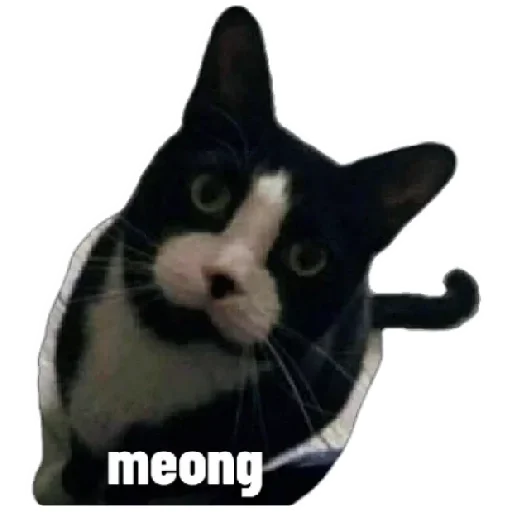 Эмодзи Anak_kucing