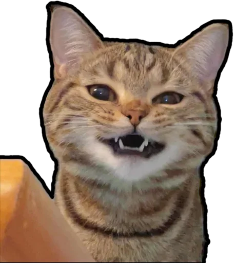 Эмодзи Kucing 🐈 🐈