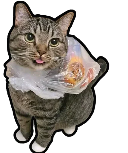 Эмодзи Kucing 🐈 🐈