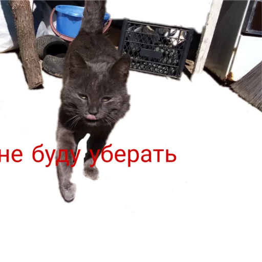 Эмодзи Муська myrzik