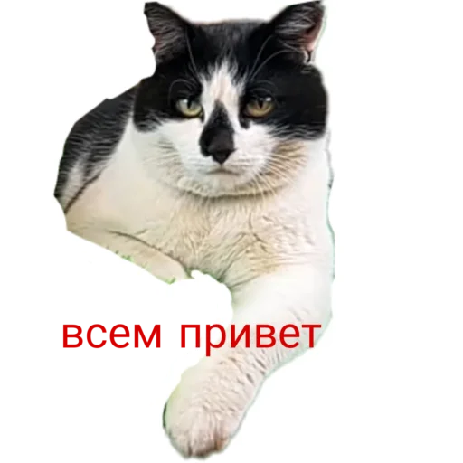 Эмодзи Муська myrzik