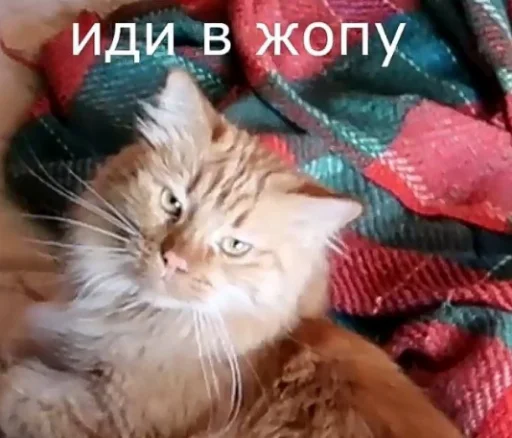 Эмодзи АНДРЕЙКА БЛИАТЬ