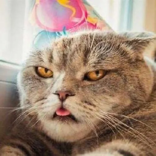 Эмодзи Cats | Котики