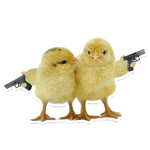 Эмодзи Animals Cute
