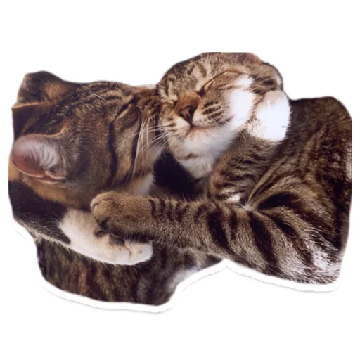 Эмодзи Animals Cute