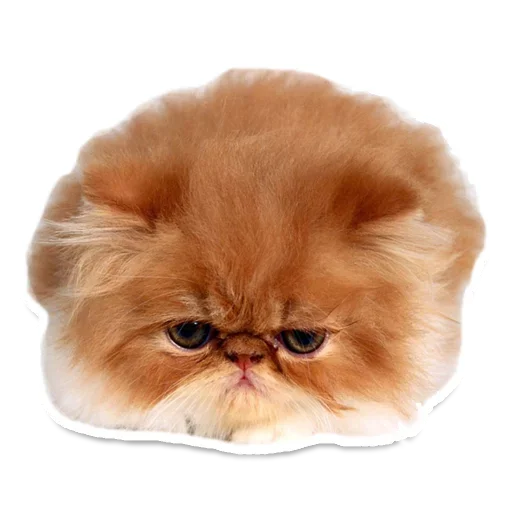 Эмодзи Animals Cute