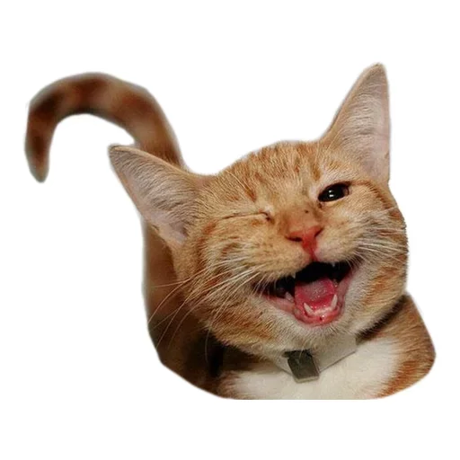 Эмодзи Animals Cute