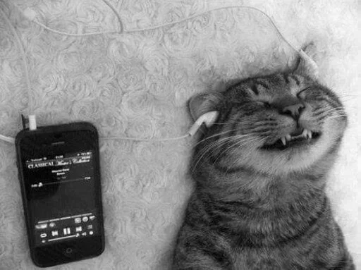Эмодзи Animals Mood