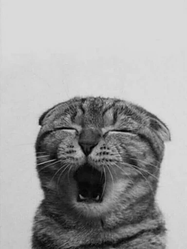 Эмодзи Animals Mood