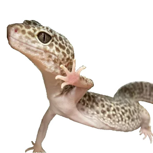 Эмодзи Animals world