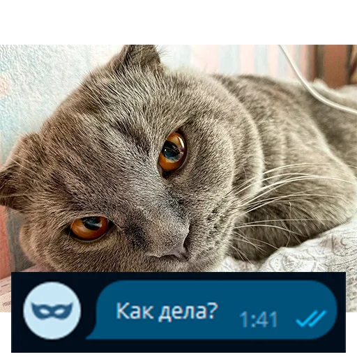 Эмодзи Приколы для анон чата