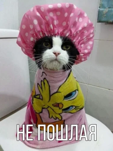 Эмодзи Memes | Мемы