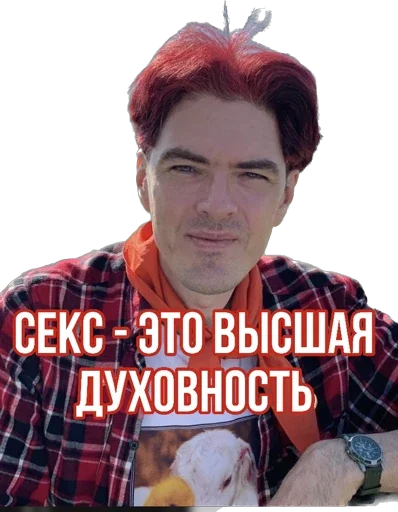 Эмодзи Antivaginocapitalism