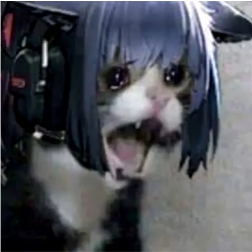 Эмодзи Arknights cursed meme