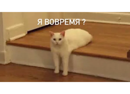 Эмодзи Memes | Мемы