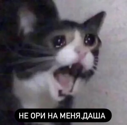 Эмодзи Memes | Мемы