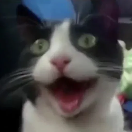 Эмодзи Аркадиония