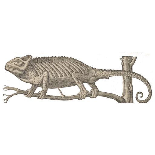 Эмодзи Art Animals