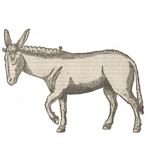 Эмодзи Art Animals