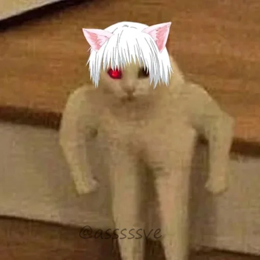 Эмодзи Asvecats