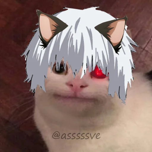 Эмодзи Asvecats