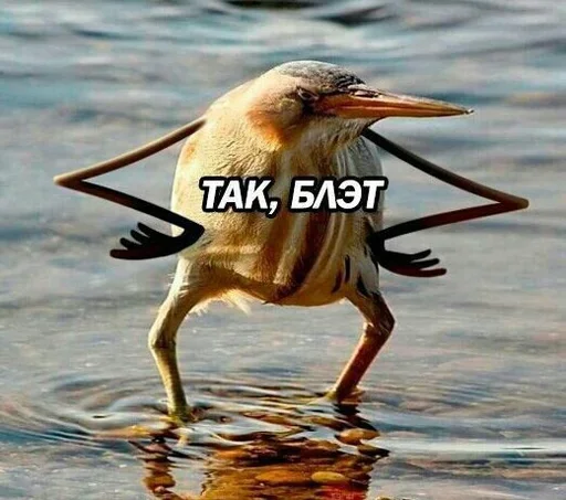 Эмодзи Атайдите pls
