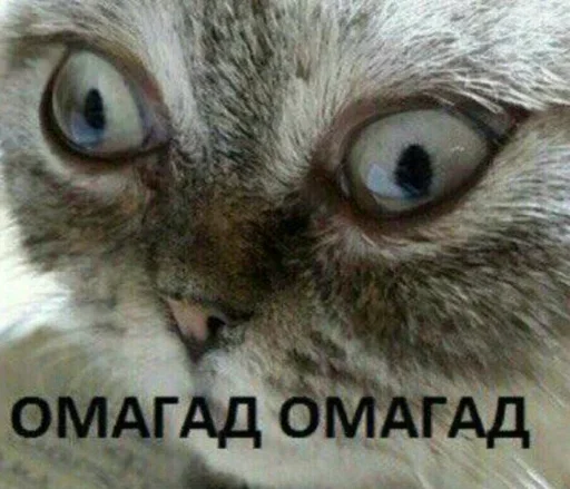 Эмодзи Атайдите pls