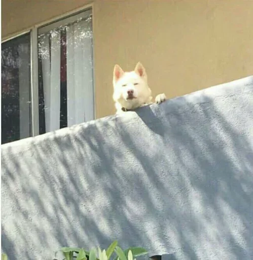 Эмодзи Атайдите pls
