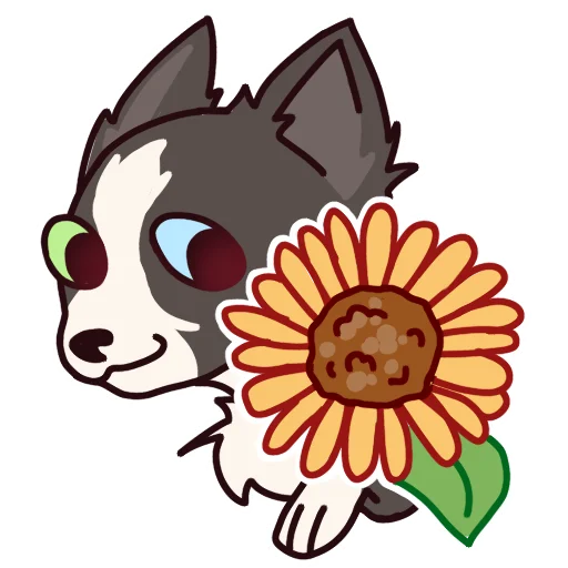 🌻