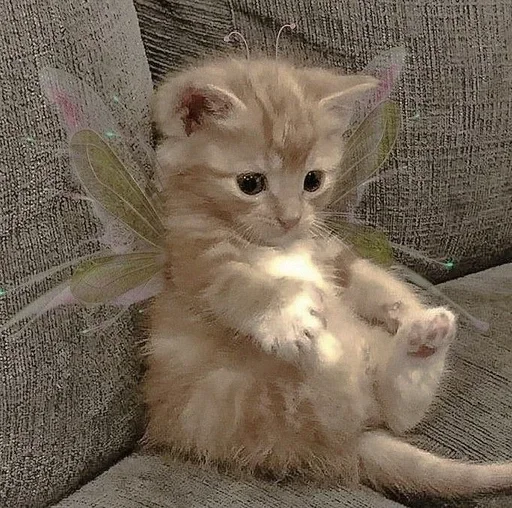 Эмодзи Котята